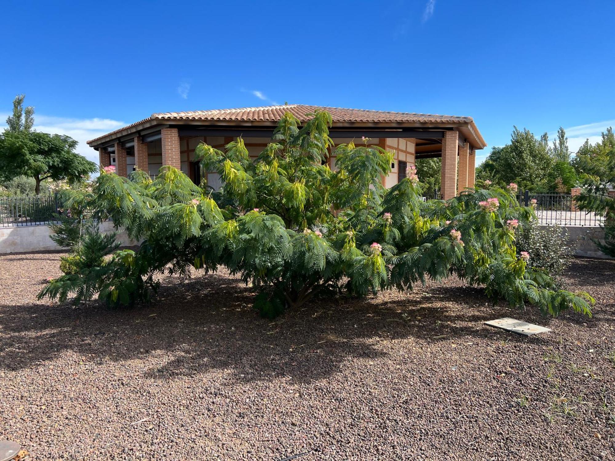Finca Alarcos Valverde  Luaran gambar